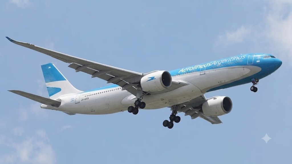 AEROLÍNEAS RENOVARÁ SU FLOTA CON RECURSOS PROPIOS Y SIN APORTES DEL&nbsp;ESTADO